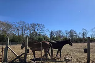 1080 Fox Young Rd, Wagener, SC 29164 - Photo 43