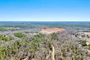 1080 Fox Young Rd, Wagener, SC 29164 - Photo 59