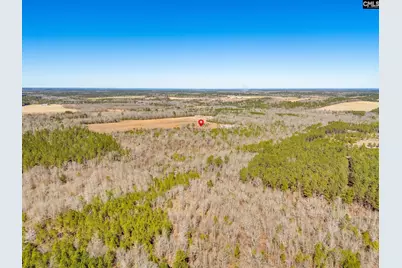 1080 Fox Young Road, Wagener, SC 29164 - Photo 61