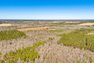 1080 Fox Young Rd, Wagener, SC 29164 - Photo 61