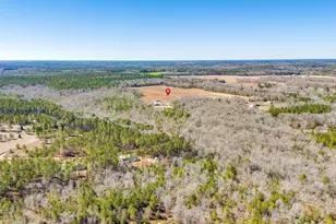 1080 Fox Young Rd, Wagener, SC 29164 - Photo 65