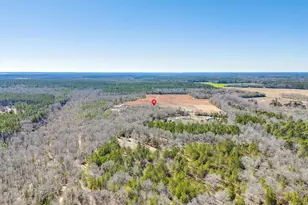 1080 Fox Young Rd, Wagener, SC 29164 - Photo 63