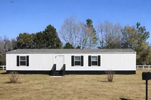 234 Binnicker Bridge Rd, Orangeburg, SC 29115 - Photo 3