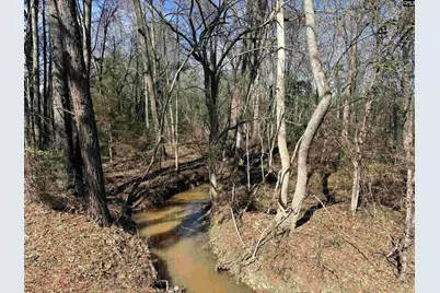 0 Bethany Road, Saluda, SC 29138 - Photo 5