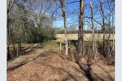 0 Bethany Road, Saluda, SC 29138 - Photo 7