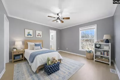 498 Maple Hollow Lane, Chapin, SC 29036 - Photo 19