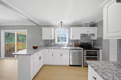 498 Maple Hollow Lane, Chapin, SC 29036 - Photo 3