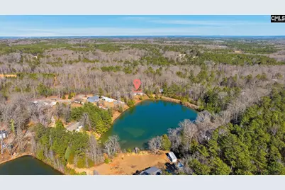 498 Maple Hollow Lane, Chapin, SC 29036 - Photo 27