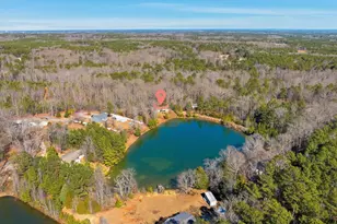 498 Maple Hollow Ln, Chapin, SC 29036 - Photo 27