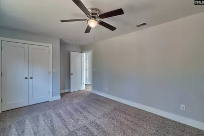 209 Lynch Lane, Chapin, SC 29036 - Photo 13