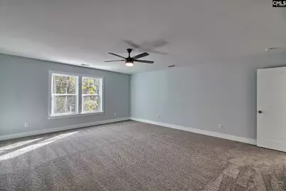 209 Lynch Lane, Chapin, SC 29036 - Photo 15