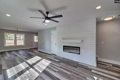 209 Lynch Lane, Chapin, SC 29036 - Photo 3
