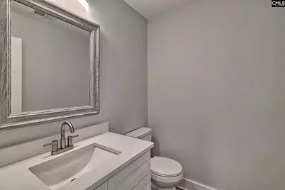 209 Lynch Lane, Chapin, SC 29036 - Photo 9