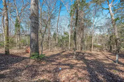 3600 Kennerly Road, Irmo, SC 29063 - Photo 31