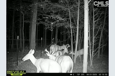 3600 Kennerly Road, Irmo, SC 29063 - Photo 5