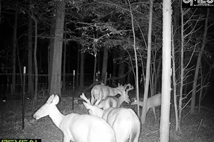 3600 Kennerly Rd, Irmo, SC 29063 - Photo 5