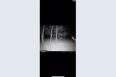 3600 Kennerly Road, Irmo, SC 29063 - Photo 37
