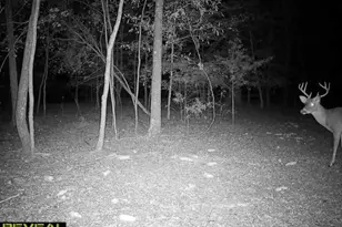 3600 Kennerly Rd, Irmo, SC 29063 - Photo 37