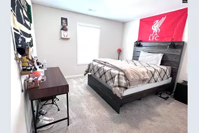 446 Skydance Road, Lexington, SC 29072 - Photo 23