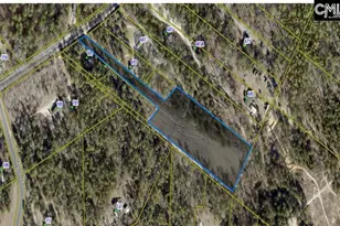 699 Crystal Springs Dr, Lexington, SC 29073 - Photo 1