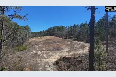 699 Crystal Springs Drive, Lexington, SC 29073 - Photo 5