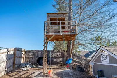 413 Cape Jasmine Way, Lexington, SC 29073 - Photo 3