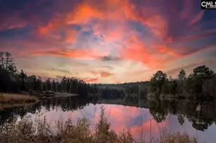 616 Rose Quartz Ln, Lexington, SC 29073 - Photo 49