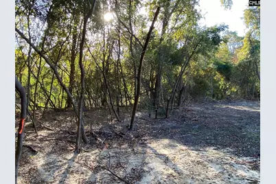 824 Anders Drive, Columbia, SC 29203 - Photo 9