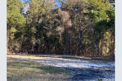 824 Anders Drive, Columbia, SC 29203 - Photo 3