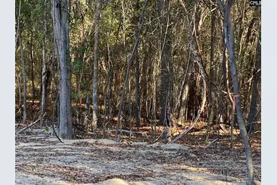 824 Anders Drive, Columbia, SC 29203 - Photo 5