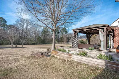 812 Village Well, Chapin, SC 29036 - Photo 41