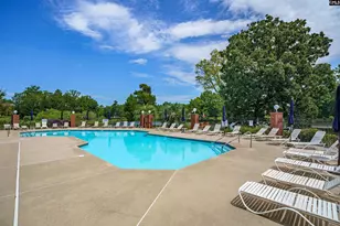 812 Village Well, Chapin, SC 29036 - Photo 43