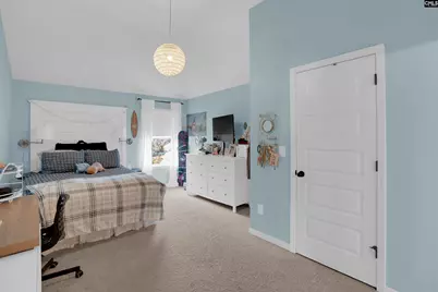 812 Village Well, Chapin, SC 29036 - Photo 23