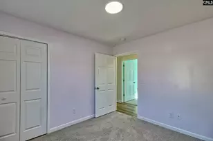 512 Old Bush River Rd, Chapin, SC 29036 - Photo 19