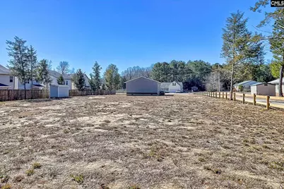 512 Old Bush River Road, Chapin, SC 29036 - Photo 23