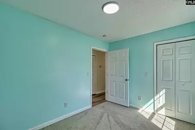 512 Old Bush River Road, Chapin, SC 29036 - Photo 17