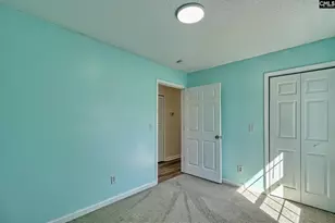 512 Old Bush River Rd, Chapin, SC 29036 - Photo 17