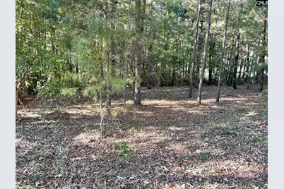 12 Manzanita Court #40, Elgin, SC 29045 - Photo 1