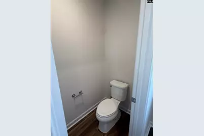 578 Swamp Grass Drive, Columbia, SC 29209 - Photo 29