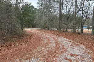 920 Mack Edisto Rd, Swansea, SC 29160 - Photo 13