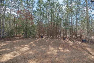 403 Nutsedge Court, Lexington, SC 29072 - Photo 43