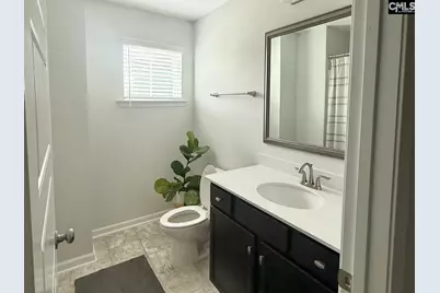 145 Madison Park Drive, Lexington, SC 29072 - Photo 19