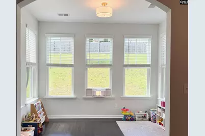 145 Madison Park Drive, Lexington, SC 29072 - Photo 13