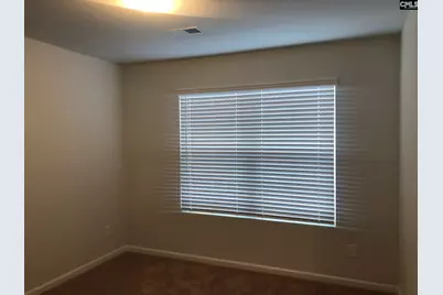 2319 Trakand Drive, Lexington, SC 29073 - Photo 11