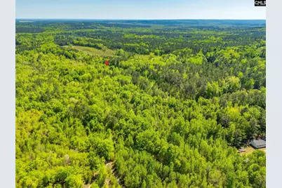 Black River Road, Rembert, SC 29128 - Photo 3
