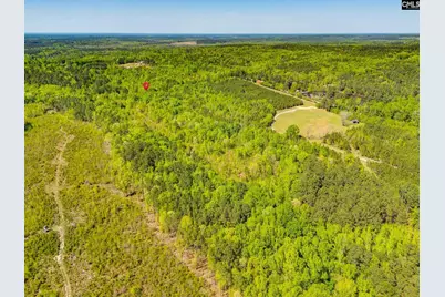 Black River Road, Rembert, SC 29128 - Photo 7