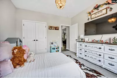 315 Baymont Drive, Blythewood, SC 29016 - Photo 19