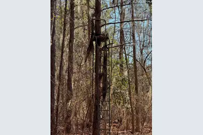 0 Sardis Church Road, Swansea, SC 29160 - Photo 5