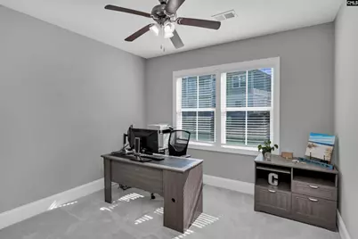 362 Cabana Way, Lexington, SC 29072 - Photo 33