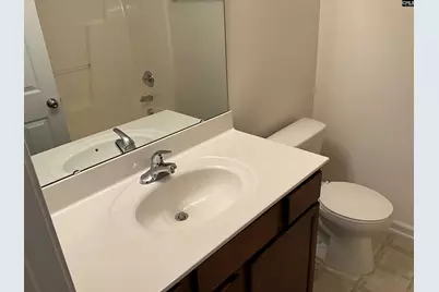 242 Drooping Leaf Lane, Lexington, SC 29072 - Photo 19